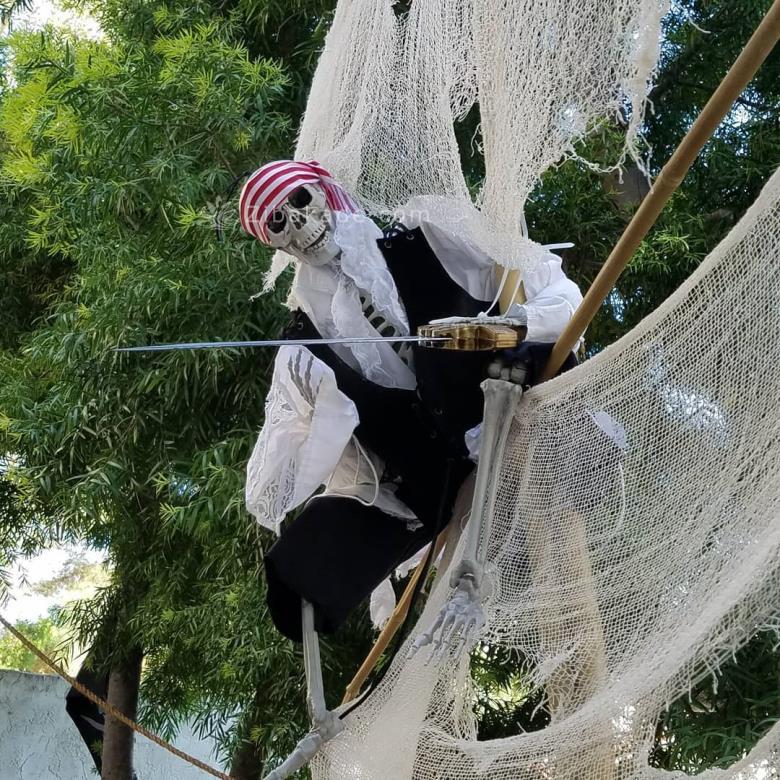 تم تولد دزدان دریایی - Pirates